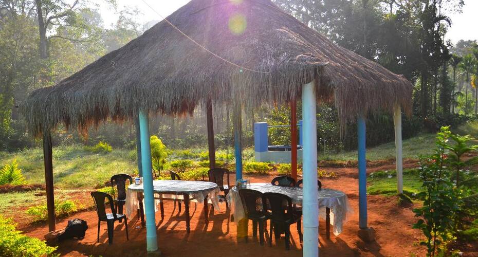 Pepper Trial Budget Homestay, Coorg 5